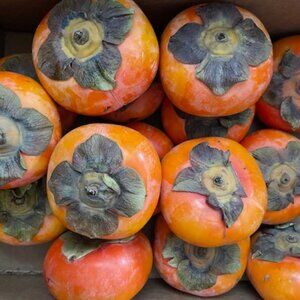 Fresh Fuyu Persimmons, approx 4 lbs 5 oz